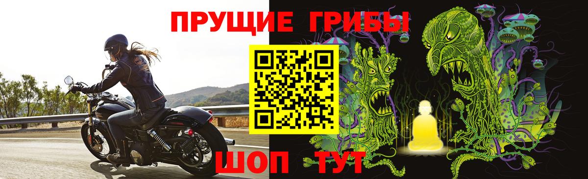 Сорочинск  Галлюциногенные грибы Cubensis  Вход с VPN 
